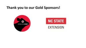 Gold sponsors