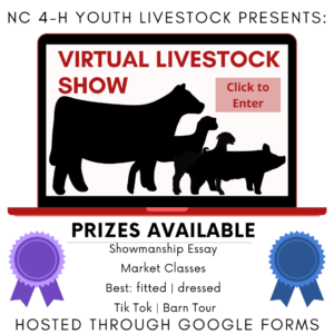 Cover photo for Virtual Livestock Show Showing From Home