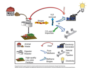 Anaerobic Digester Systems graphic