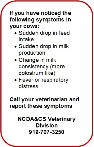 If you have noticed the following symptoms in your cows: • Sudden drop in feed intake • Sudden drop in milk production • Change in milk consistency (more colostrum like) • Fever or respiratory distress Call your veterinarian and report these symptoms NCDA&CS Veterinary Division 919-707-3250