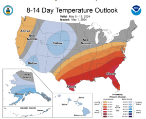 Cover photo for Cotton Planting Conditions May 2, 2024